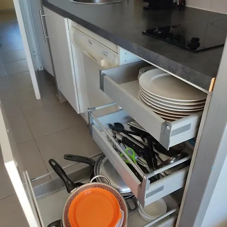 Ambiance Mediterranee Aux Parcs De Grimaud