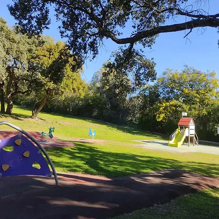 Ambiance Mediterranee Aux Parcs De