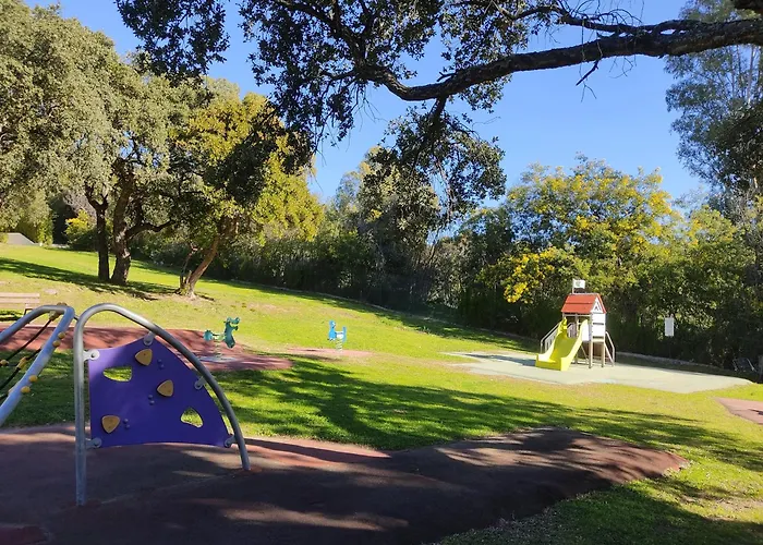 Ambiance Mediterranee Aux Parcs De